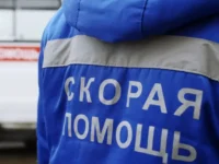 В Симферополе медики работают над спасением матери и её малыша после нападения v simferopole mediki rabotayut nad spaseniem materi i eyo malysha posle napadeniya-lavi-su-0