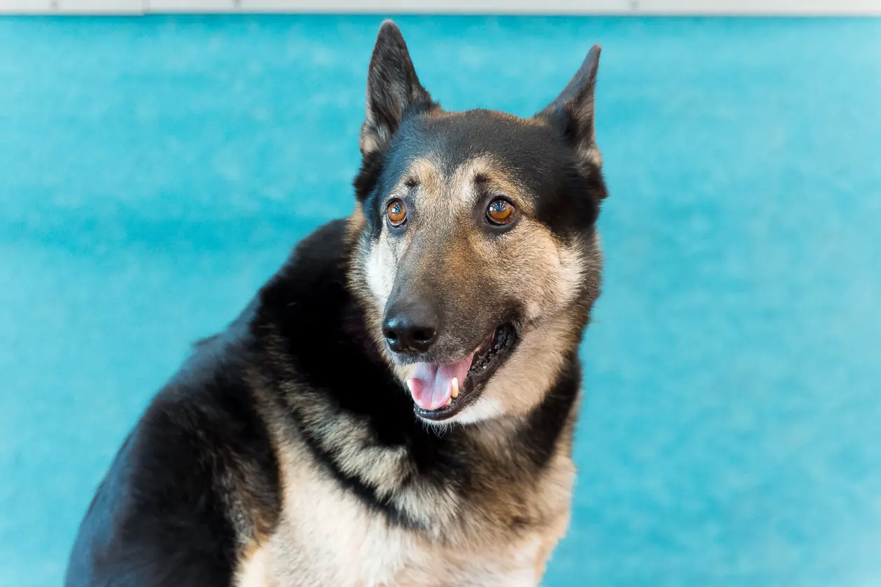 Фото: primamedia.ru