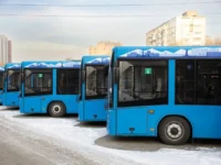 Владивосток получает 14 современных МАЗов благодаря поддержке Приморского края vladivostok poluchaet 14 sovremennyh mazov blagodarya podderzhke primorskogo kraya-lavi-su-0