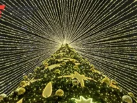 Волшебный Новогодний городок Владивостока! Резиденция Деда Мороза и каток volshebnyj novogodnij gorodok vladivostoka rezidencziya deda moroza i katok-lavi-su-0