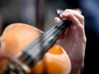 Выпускники московских школ искусств стали лидерами на конкурсе «Щелкунчик» vypuskniki moskovskih shkol iskusstv stali liderami na konkurse shhelkunchik-lavi-su-0