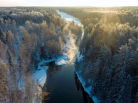 11 января отмечают День заповедников и Международный день «спасибо» 11 yanvarya otmechayut den zapovednikov i mezhdunarodnyj den spasibo-lavi-su-0