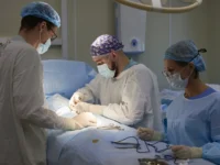 ДТП в Шкотово – Минздрав Приморья оказывает помощь пострадавшим dtp v shkotovo minzdrav primorya okazyvaet pomoshh postradavshim-lavi-su-0