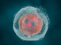 ИТЭБ РАН и Российская академия наук представляют защиту клеток и новые перспективы лечения патологий iteb ran i rossijskaya akademiya nauk predstavlyayut zashhitu kletok i novye perspektivy lecheniya patologij-lavi-su-0