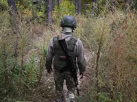 Москалькова о судьбе военнослужащих СВО: тревожные подробности moskalkova o sudbe voennosluzhashhih svo trevozhnye podrobnosti-lavi-su-0