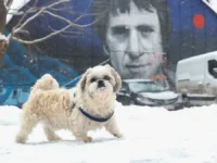 Рекордные осадки в Москве — влияние на природу и урожай rekordnye osadki v moskve vliyanie na prirodu i urozhaj-lavi-su-0