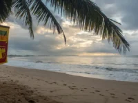 Турист из Магнитогорска и россиянка на Шри-Ланке обсуждают безопасность путешествий turist iz magnitogorska i rossiyanka na shrilanke obsuzhdayut bezopasnost puteshestvij-lavi-su-0