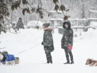 В Москве и на ВДНХ зафиксировали рекордные снегопады за 50 лет v moskve i na vdnh zafiksirovali rekordnye snegopady za 50 let-lavi-su-0