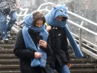 В Москве и области ожидаются снегопады и мягкая зима на неделе v moskve i oblasti ozhidayutsya snegopady i myagkaya zima na nedele-lavi-su-0