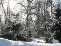 Алексей Фурсин о росте экопроектов в парках Измайлово и Терлецкий aleksej fursin o roste ekoproektov v parkah izmajlovo i terleczkij-lavi-su-0