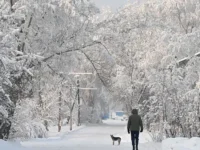 «Фобос» и «Метео» обнадёжили россиян fobos i meteo obnadyozhili rossiyan-lavi-su-0