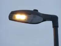 geroicheskij haski lukas zashhitil devochku u fonarnogo stolba mozhajska-lavi-su-0