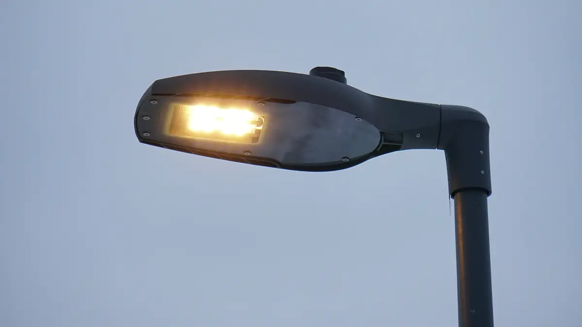 СМИ: Собака погибла из-за удара током от фонарного столба на западе Москвы