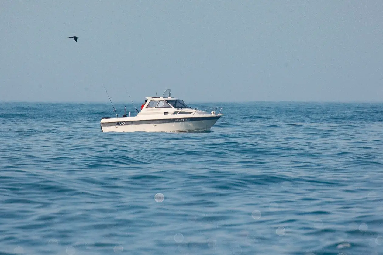 Фото: primamedia.ru