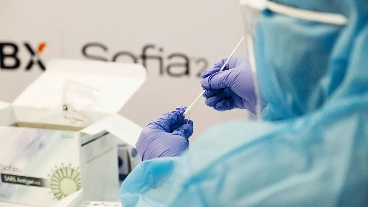 Оспа обезьян: симптомы, лечение и возможность эпидемии в России