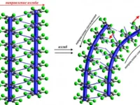 Ученые ИХТТМ СО РАН и ЦКП «СКИФ» раскрыли тайны гибкости кристаллов uchenye ihttm so ran i czkp skif raskryli tajny gibkosti kristallov-lavi-su-0