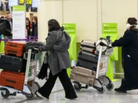 Внуково и Шереметьево при поддержке Росавиации усилят безопасность перевозки животных vnukovo i sheremetevo pri podderzhke rosaviaczii usilyat bezopasnost perevozki zhivotnyh-lavi-su-0