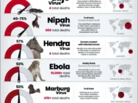 ВОЗ борется с бешенством и Эболой успешно voz boretsya s beshenstvom i eboloj uspeshno-lavi-su-0