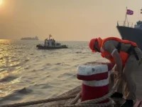 davlenie es na gruziyu otkaz ot nefti rf i spasenie porta -lavi-su-0