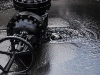 denis astafev otmechaet rost  na fone novyh tendenczij-lavi-su-0