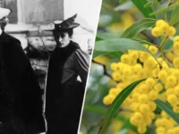 История 8 Марта Клара Цеткин и Роза Люксембург дарили оптимизм istoriya 8 marta klara czetkin i roza lyuksemburg darili optimizm-lavi-su-0