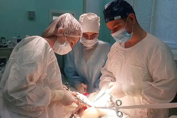 Вводная картинка