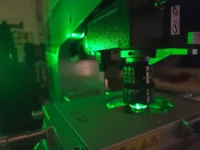 РНФ: фенилаланин, пролин — новые ключи анализа коллагена rnf fenilalanin prolin novye klyuchi analiza kollagena-lavi-su-0