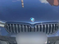 В Подмосковье Виктория Евдокимова и BMW вновь в центре внимания v podmoskove viktoriya evdokimova i vnov v czentre vnimaniya-lavi-su-0