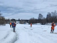 В Звенигороде продолжаются активные поиски детей на берегу реки Москвы v zvenigorode prodolzhayutsya aktivnye poiski detej na beregu reki moskvy-lavi-su-0