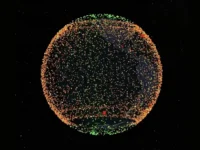 ilon mask i  10 000 sputnikov  na orbite-lavi-su-0