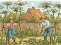 leto na dache 2026  pravila kak ne poluchit shtraf za koster i shashlyk-lavi-su-0