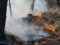 mchs uspeshno likvidirovalo pozhary v bahchisarajskom rajone i simeize-lavi-su-0