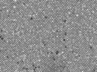 mfti dostig novyh uspehov s materialami 96 2 i 2-lavi-su-0