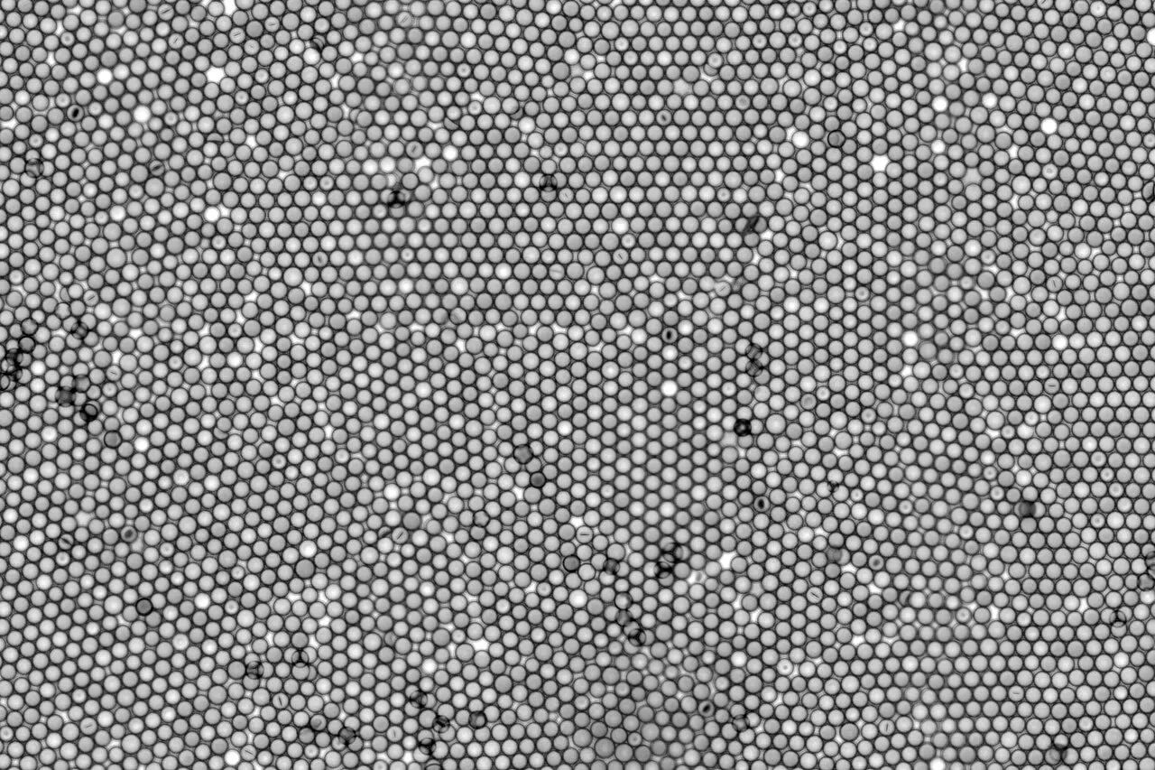 МФТИ достиг новых успехов с материалами Ag9GaS6, AgInS2 и CuGaS2-0