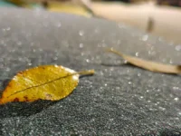 nizhegorodskij gosuniversitet i gidrometczentr rf o vesennej pogode-lavi-su-0