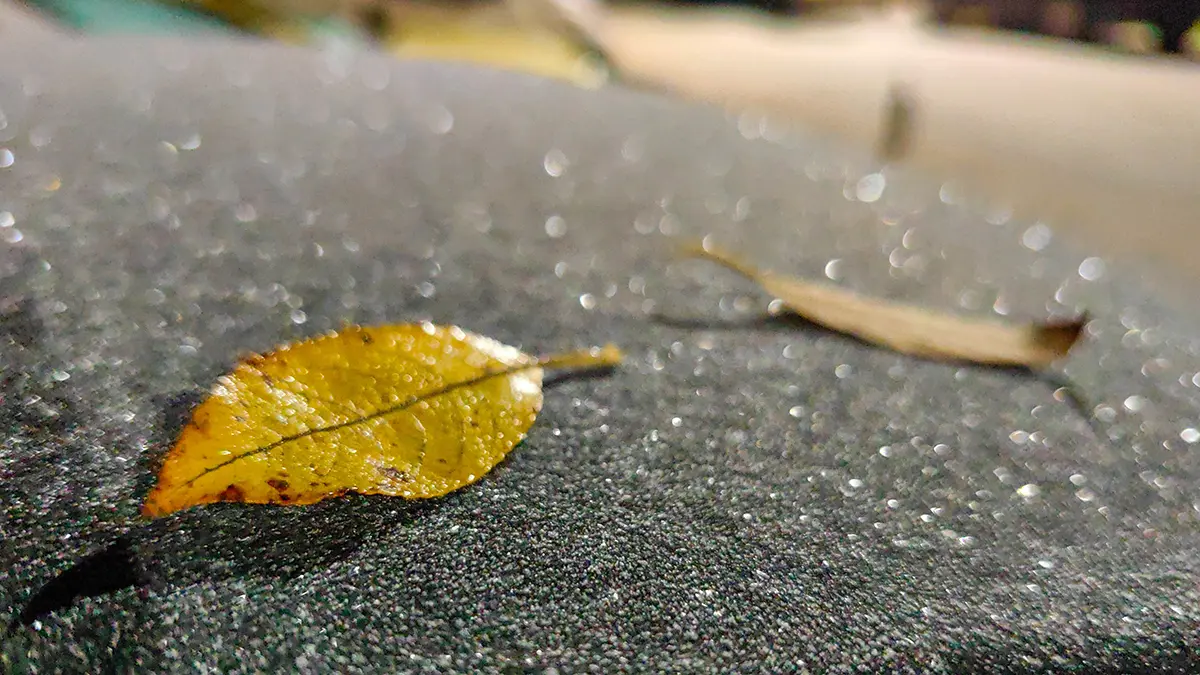 Россиянам рассказали о возможном возвращении заморозков в мае