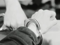 policziya primorya rassleduet zhestokoe obrashhenie s zhivotnym-lavi-su-0