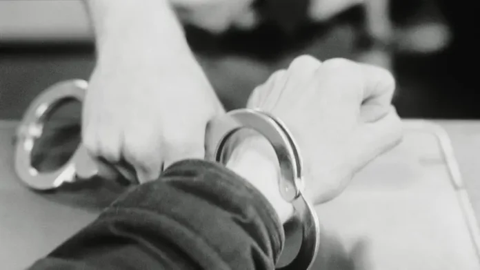 policziya primorya rassleduet zhestokoe obrashhenie s zhivotnym-lavi-su-0