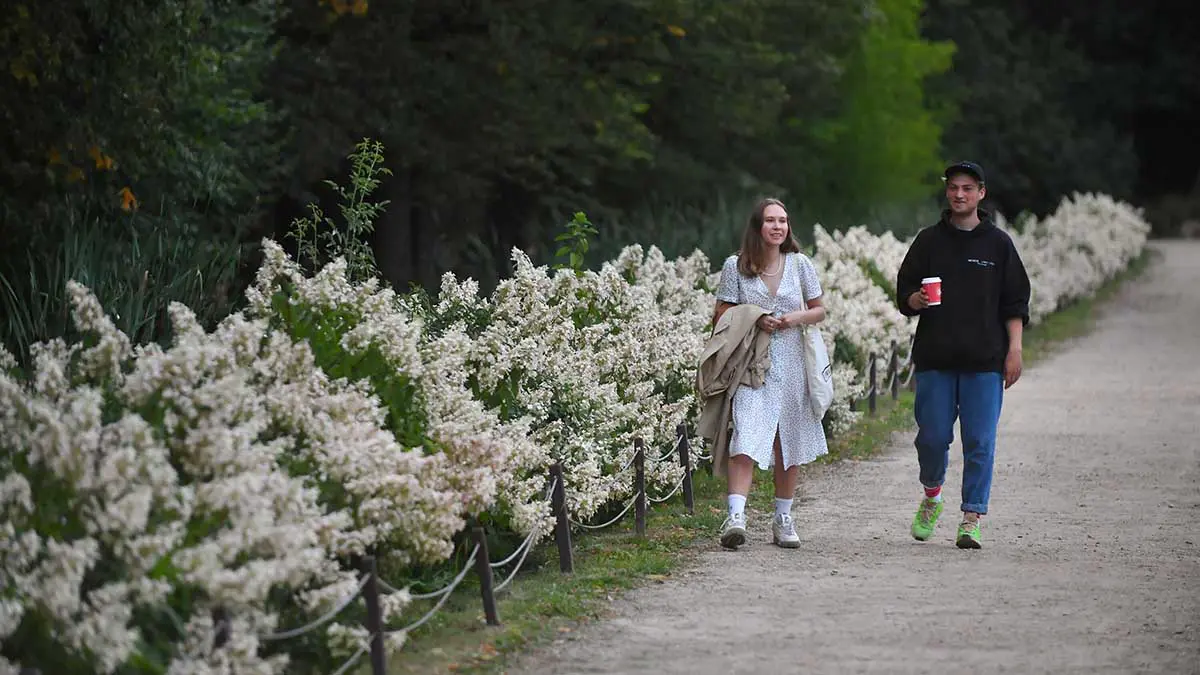 «Аптекарский огород» в Москве с 1 мая продлит часы работы до 21:00