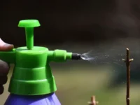 shtrafy za dachnye obrabotki ot vreditelej rasskazala yurist-lavi-su-0