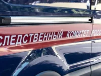 sledstvennyj komitet rossii uspeshno zavershil gromkoe delo v chelyabinske-lavi-su-0