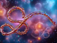 Эбола: Кения и Танзания готовятся снижать риски заражения ebola keniya i tanzaniya gotovyatsya snizhat riski zarazheniya-lavi-su-0