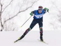 elena vyalbe o korosteleve i flgr  potenczial dlya novyh pobed-lavi-su-0