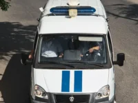 institut filosofii ran i svetlana mesyacz  delo bims pod vnimaniem-lavi-su-0