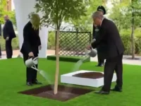 putin i tokaev posadili dub  simvol krepkih otnoshenij-lavi-su-0