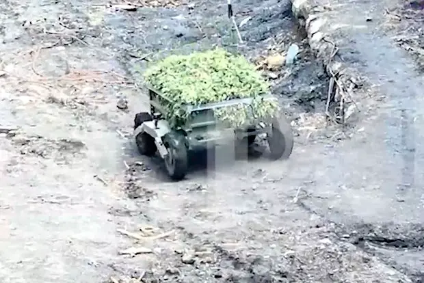 Вводная картинка