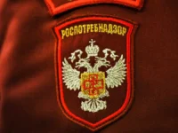 rospotrebnadzor usilivaet kontrol na granicze predotvrashhaya ugrozu hantavirusa andes-lavi-su-0