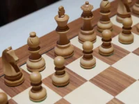 vladislav grib i op rf vystupili za shahmaty v obuchenii-lavi-su-0