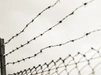 Водитель получил три года колонии и компенсацию после ДТП с ребёнком voditel poluchil tri goda kolonii i kompensacziyu posle dtp s rebyonkom-lavi-su-0