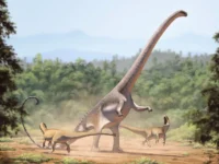 do padeniya asteroida byl krizis issledovanie dinozavrov-lavi-su-0